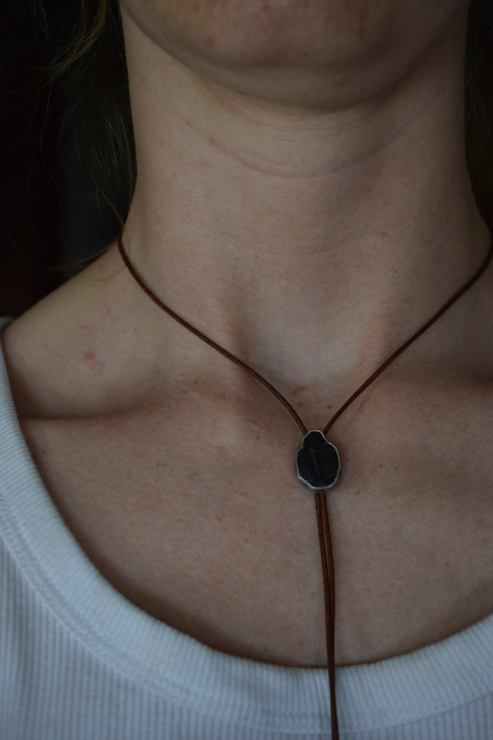 Fossil Bolo
