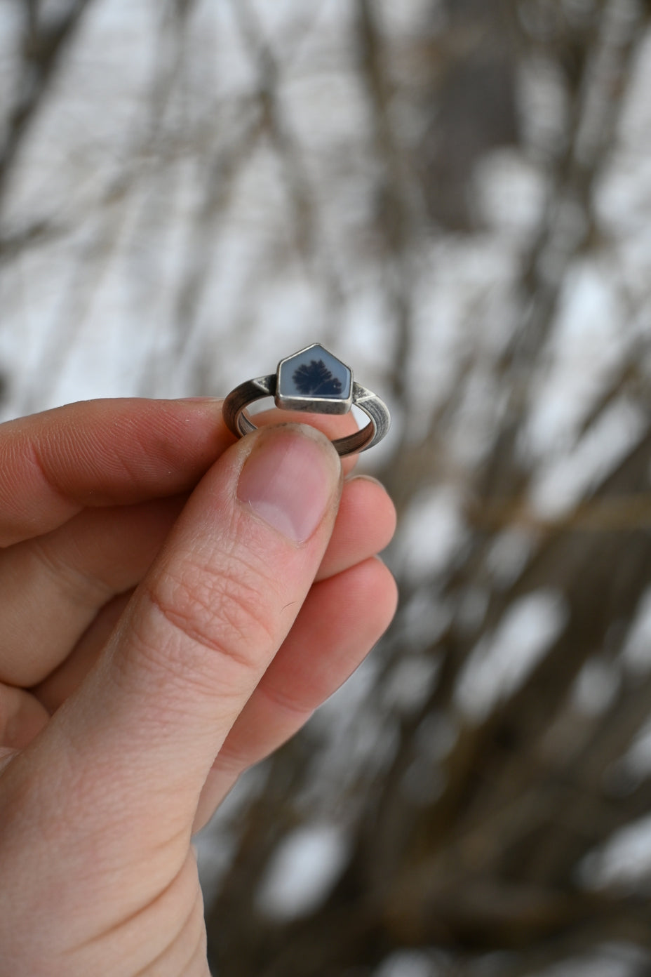 Cabin Ring