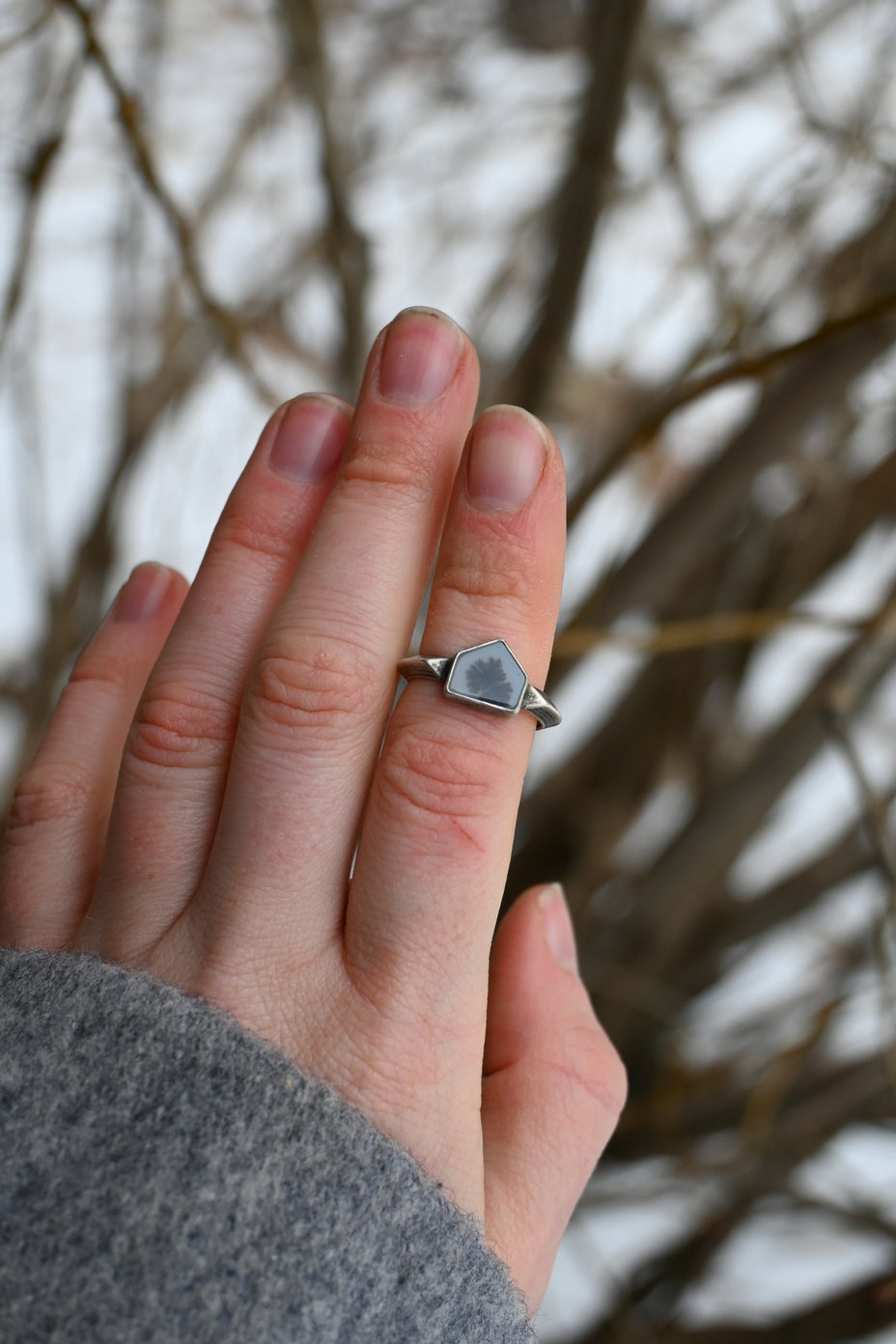 Cabin Ring