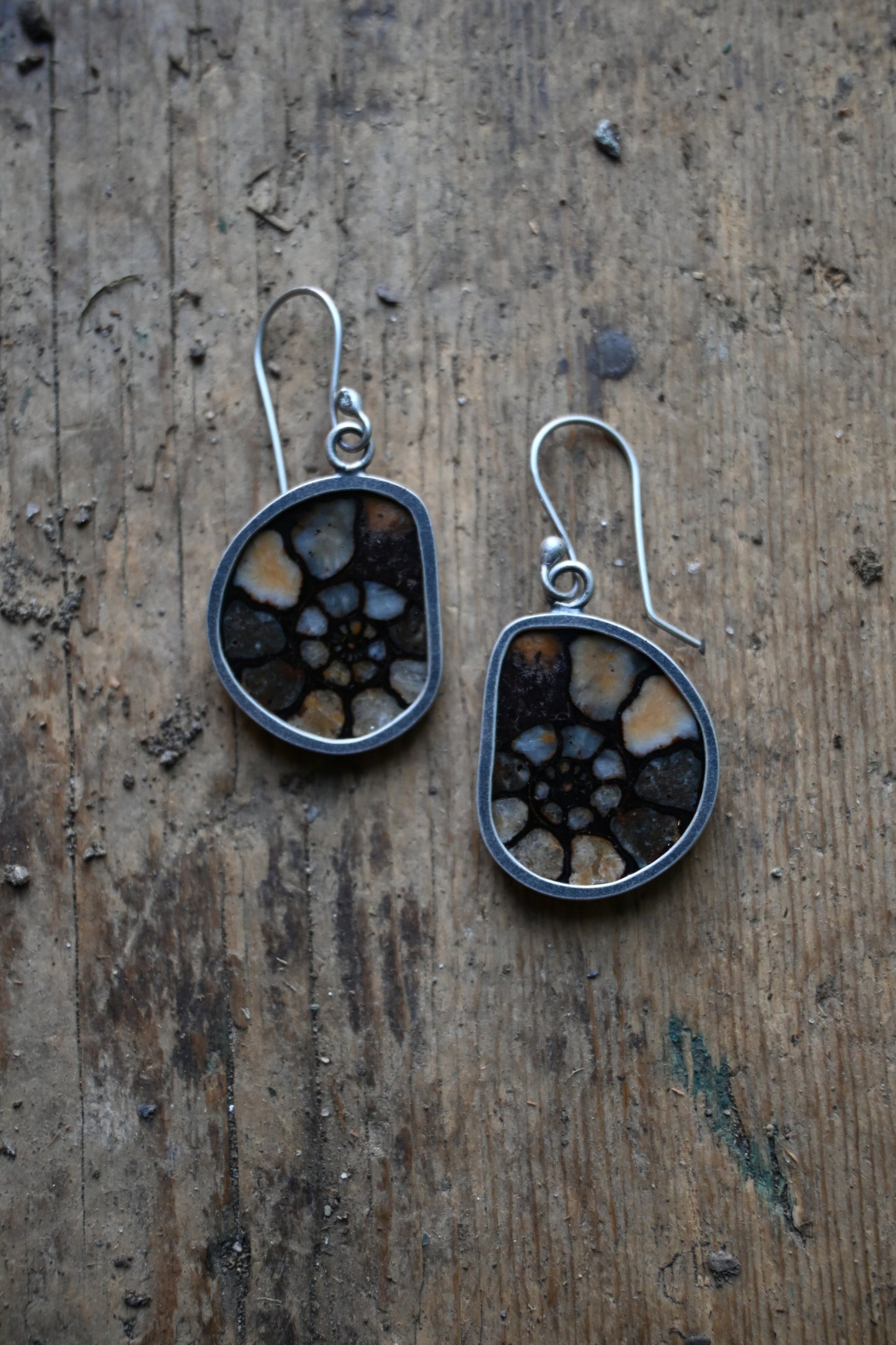 Ammonite Earrings