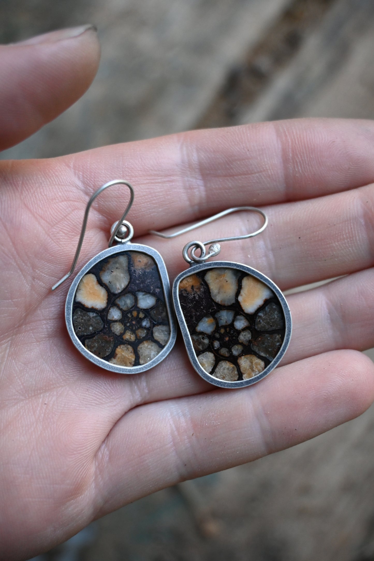 Ammonite Earrings