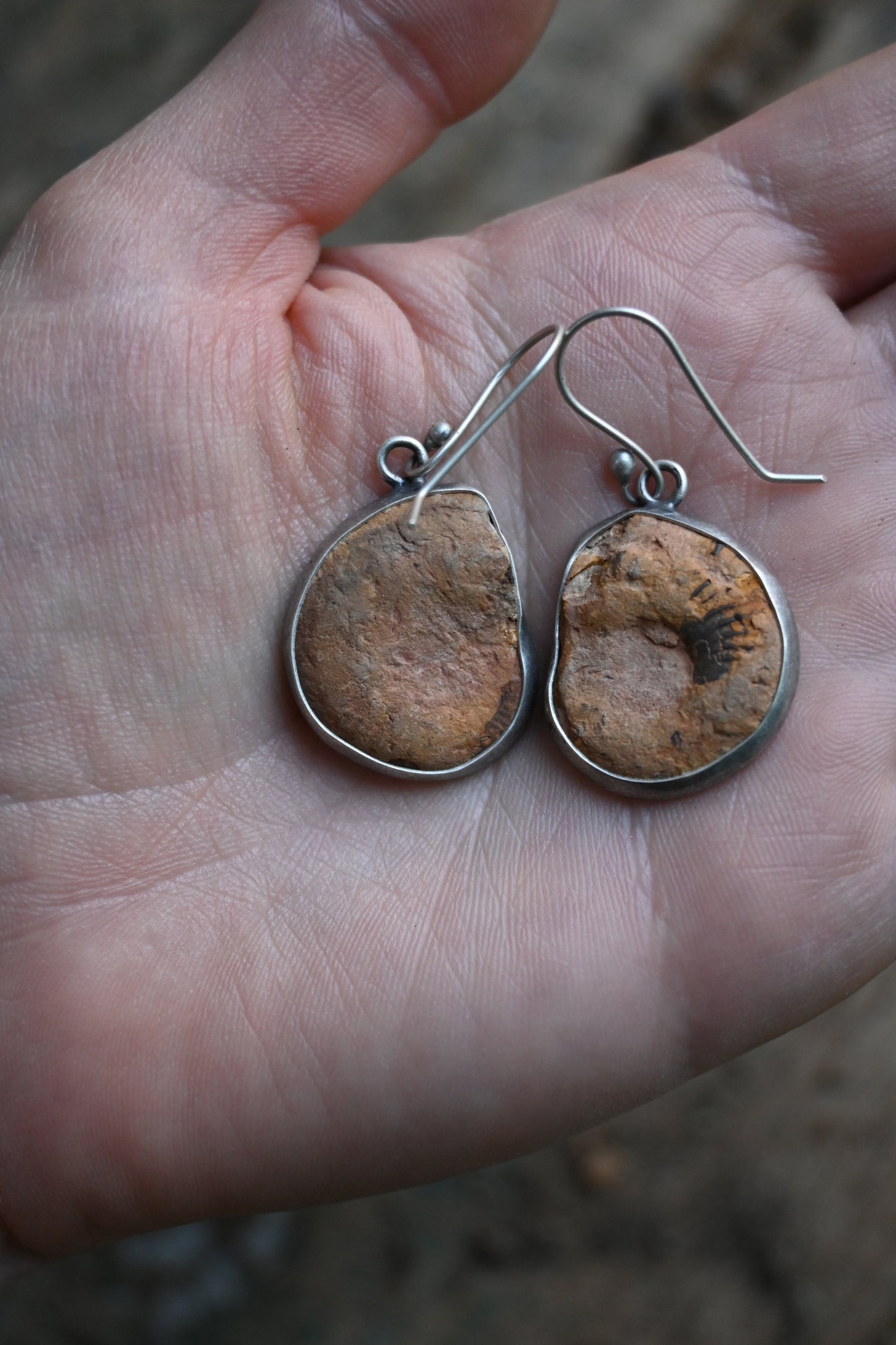 Ammonite Earrings