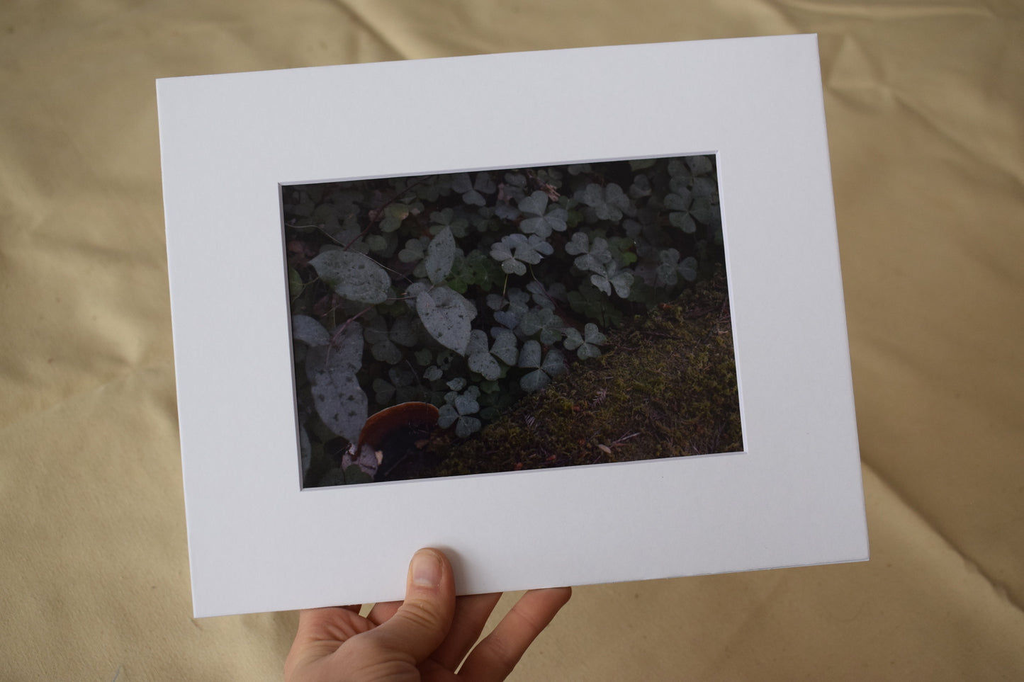 Forest Floor Print