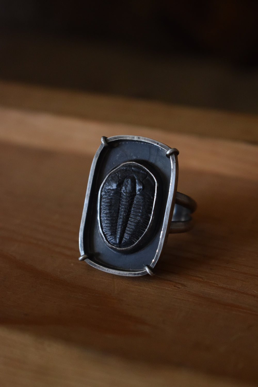 Trilobite Ring