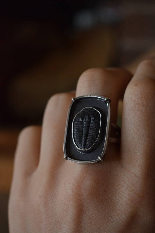 Trilobite Ring